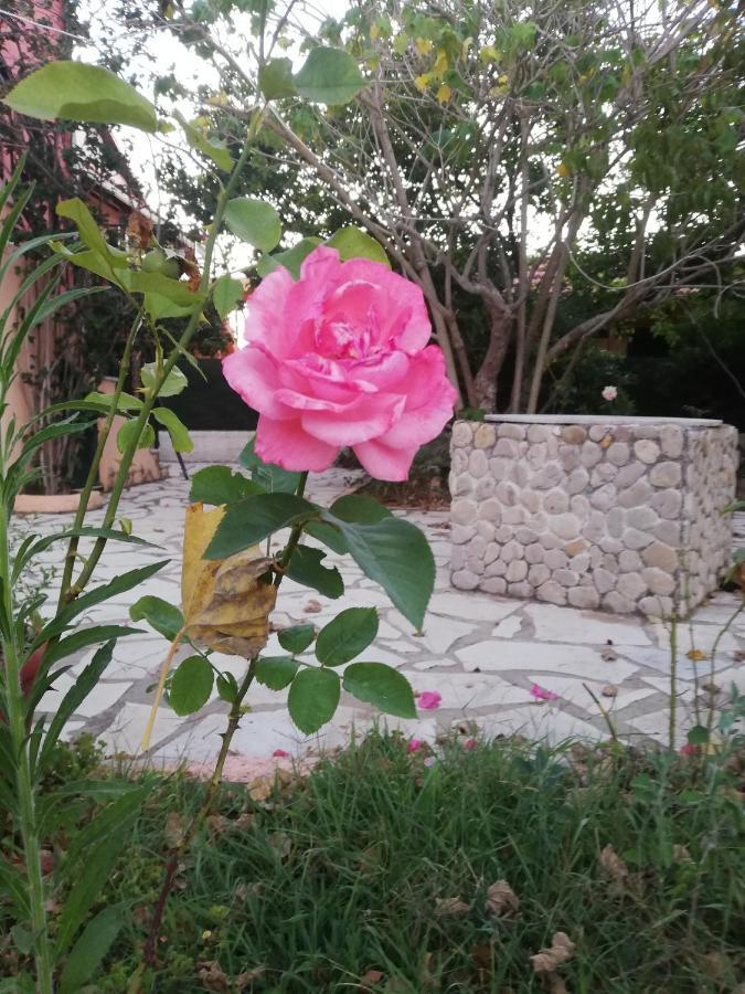 Anestis Studios Agios Georgios  Ngoại thất bức ảnh