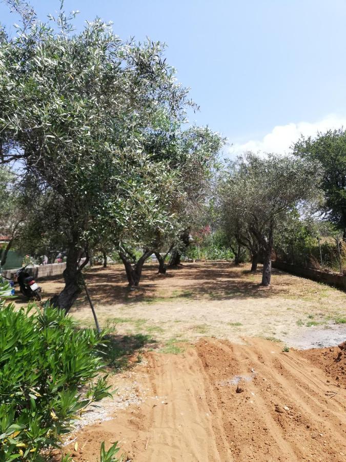 Anestis Studios Agios Georgios  Ngoại thất bức ảnh
